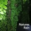 Download track Soundscapes Of Nature Melodies, Pt. 20