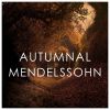 Download track Variations Concertantes, Op. 17, MWV Q19: Theme