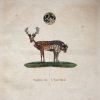 Download track I, Your Moon