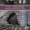 Download track Piano Sonata No. 17 In D Major, D. 850: IV. Rondo. Allegro Moderato