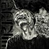 Download track Waste Of Time