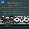 Download track Serenade For Flute, Violin & Viola In D Major, Op. 25: I. Entrata. Allegro