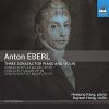 Download track 08. Violin Sonata In B-Flat Major, Op. 50 II. Adagio
