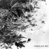 Download track Tre (Original Mix)