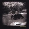 Download track Start To Fall