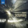 Download track Symphony No. 1 In B-Flat Major, Op. 38 Spring (Arr. R. & C. Schumann For Piano 4 Hands) IV. Allegro Animato E Grazioso