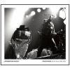 Download track Disco's Not Dead (It's Only Sleeping)