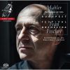Download track 5. V. Der Trunkene Im Frühling