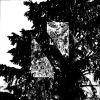 Download track Rot