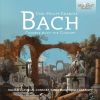 Download track 15. Quartet In A Minor H537 - I. Andantino