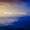 Download track Divertimento No. 15 In B Flat Major, K. 287: Variation V