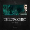 Download track The Bizz (Radio Edit)