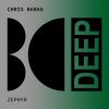 Download track Ripples In Time