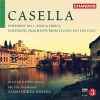 Download track 10. Symphony No. 1 In B Minor, Op. 5 IIIa. Lento Molto - Poco Più Mosso