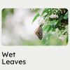 Download track 1 Hour Of Soft Water Streams, Pt. 2