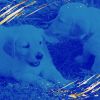 Download track Fiery Moods For Relaxing Your Dog