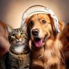 Download track A Pet’s Peaceful Soundtrack