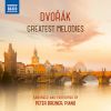 Download track Violin Concerto In A Minor, Op. 53, B. 96 (Excerpts Arr. P. Breiner For Piano): IIIb. Allegro Giocoso, Ma Non Troppo