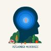 Download track A Simple Truth