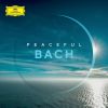 Download track J. S. Bach: Violin Concerto No. 2 In E Major, BWV 1042 - 2. Adagio