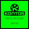 Download track TOTC 2017.03 Mix By Jerome (Continuous DJ Mix)