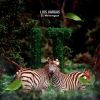 Download track El Merengue