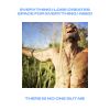 Download track EVERYTHING I LOSE CREATES SPACE FOR EVERYTHING I NEED (Romeo's Fault Bang To A Different Drum Remix)