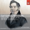 Download track Reissiger: Piano Trio No. 4 In F-Sharp Minor, Op. 56: II. Andante Non Troppo