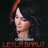 Download track Neye Yarar