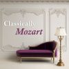 Download track String Quartet No. 13 In D Minor, K. 173: 4. (Allegro)