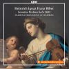 Download track Vilsmayr Sonata In E-Flat Major- VII. Finale