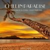 Download track Magic Frost (Ambient Mix)