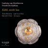 Download track Serenade In D Major For Piano And Flute, Op. 41: VI. Adagio - Allegro Vivace E Disinvolto - Presto
