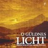 Download track Passacaglia In D Minor, Buxwv 161
