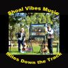 Download track Covid-19 Cigar Box Blues