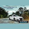 Download track Singleton (Bruze D'Angelo Remix)