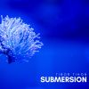 Download track Submersion