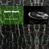 Download track The House