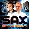 Download track Sax (Sean Finn Remix)