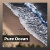 Download track Why Life Is Possible