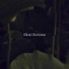 Download track Serene Melodies