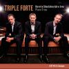 Download track Piano Trio In A Minor, M. 67: IV. Finale. Anime