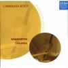 Download track Concerto In C Major: Allegro