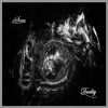 Download track I Can See