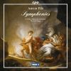 Download track 09. Symphony In G Minor - Allegro