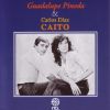 Download track Samba En Preludio (Caito)