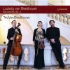 Download track Piano Trio No. 3 In C Minor, Op. 1 No. 3: IV. Finale: Prestissimo