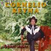 Download track No Vuelvo A Amar
