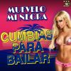 Download track El Disco Rayado