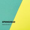 Download track Springhead